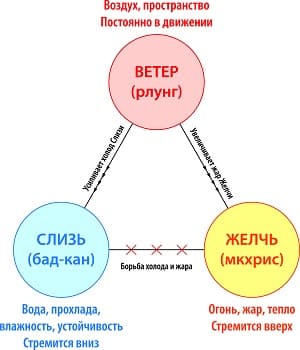 Коррекция образа жизни в Екатеринбурге - 0